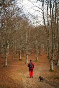 gorbeia parke naturala