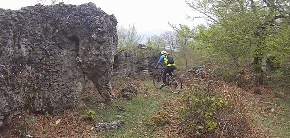 rocas de animales en Opakua