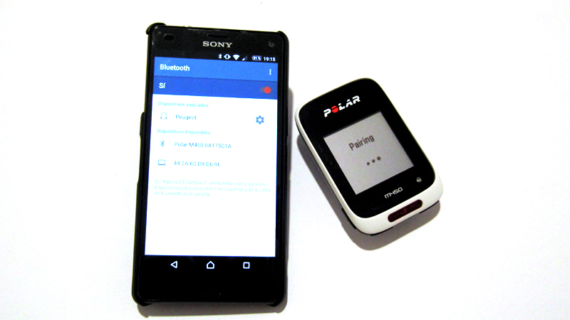 Polar m450