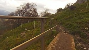 Vuelta al Parque Natural del Gorbeia