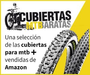 Cubiertas mtb baratas