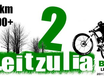 II Leitzulia