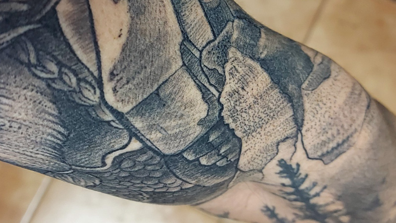 Fases del Curado de un Tatuaje - Pedales y Zapatillas